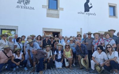 Viagem Vindima do Douro – “Quinta da Avessada”